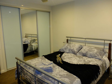 Rock Wallaby - Port Augusta Accommodation 14