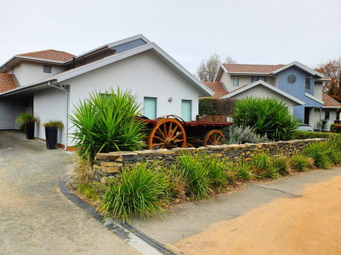 Rock Wallaby - Port Augusta Accommodation 5