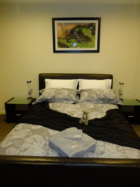 Rock Wallaby - Port Augusta Accommodation 18