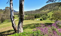 Book Capertee Accommodation Vacations Port Augusta Accommodation Port Augusta Accommodation