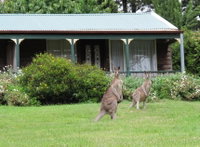 Book Mount Victoria Accommodation Vacations Port Augusta Accommodation Port Augusta Accommodation