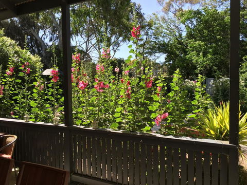 Clarevale Cottage B&B - Port Augusta Accommodation 1