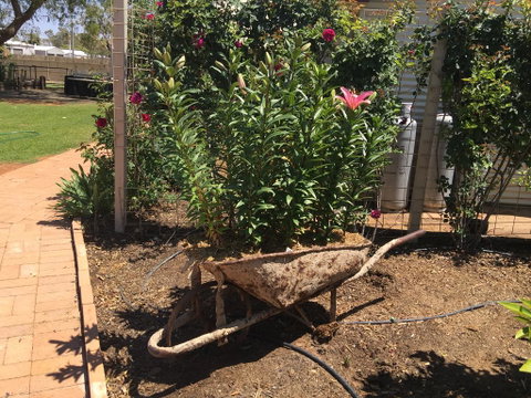 Club Boutique Hotel Cunnamulla - Port Augusta Accommodation 3