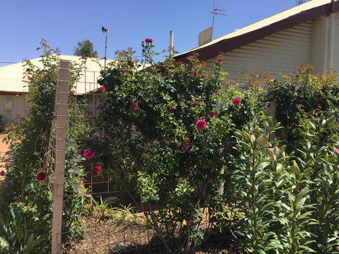 Club Boutique Hotel Cunnamulla - Port Augusta Accommodation 2
