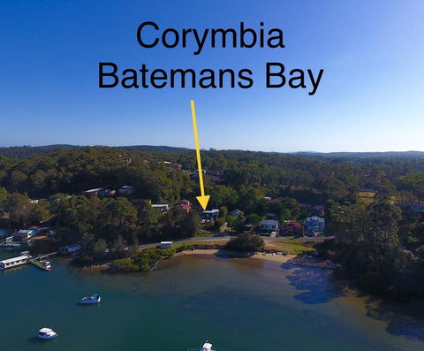 Corymbia Batemans Bay - Port Augusta Accommodation 1
