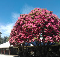 Crossways Country Inn - Port Augusta Accommodation