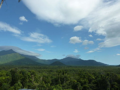 Daintree Holiday Homes - La Vista - Port Augusta Accommodation 3