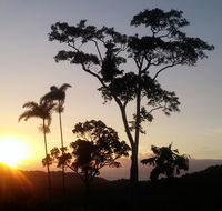 Daintree Holiday Homes - Yurara - Port Augusta Accommodation