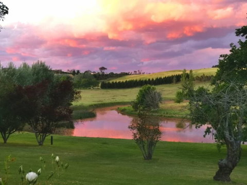 Eling Forest Winery - Port Augusta Accommodation 0