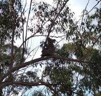 Escape to the Country - Enjoy the firepit or explore magical Bunya Mountains - Port Augusta Accommodation