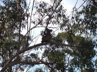 Book Haden Accommodation Vacations Port Augusta Accommodation Port Augusta Accommodation