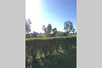 Book Benalla Accommodation Vacations Port Augusta Accommodation Port Augusta Accommodation