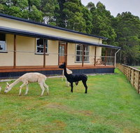Farm Stay Lowana Strahan - Port Augusta Accommodation