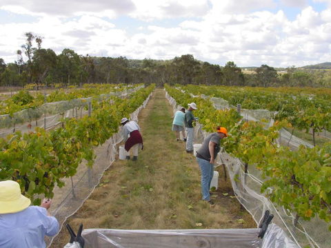 Fergies Hill Spa Cottage @ Granite Ridge Wines - Port Augusta Accommodation 2