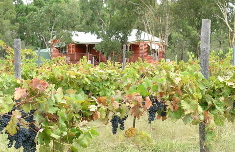 Fergies Hill Spa Cottage @ Granite Ridge Wines - Port Augusta Accommodation 0