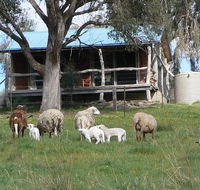 Gaddleen Grove Cottages - Port Augusta Accommodation
