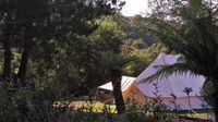 Book Zeehan Accommodation Vacations Port Augusta Accommodation Port Augusta Accommodation