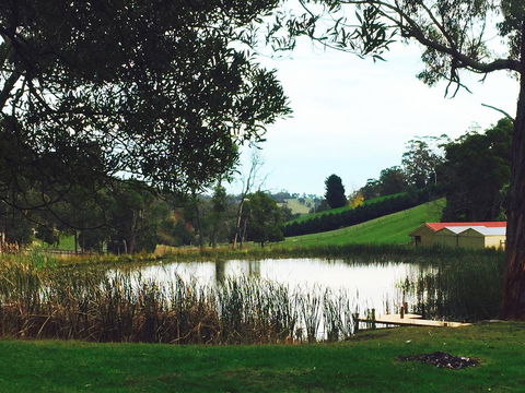 Gracefield Estate - Port Augusta Accommodation 0