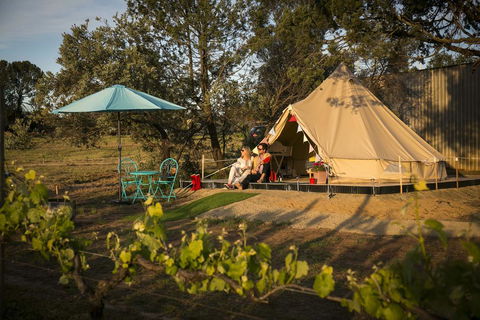 Grapevine Glamping - Port Augusta Accommodation 0
