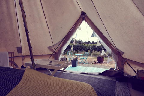 Grapevine Glamping - Port Augusta Accommodation 3