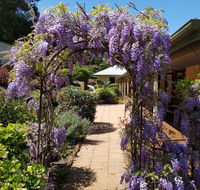 Gumtree House Montville - Port Augusta Accommodation