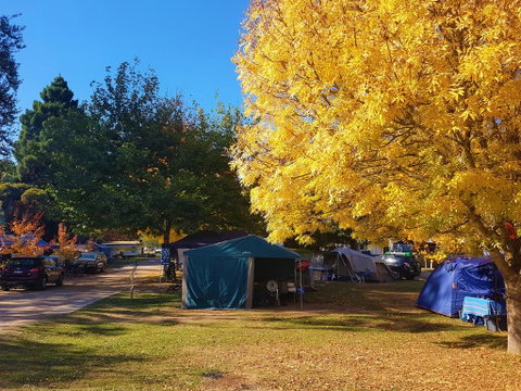 Jamieson Caravan Park - Port Augusta Accommodation 2