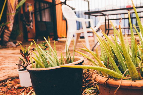JJs Backpackers Hostel - Port Augusta Accommodation 2