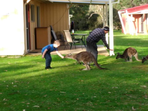 Kalgan River Chalets And Caravan Park - Port Augusta Accommodation 0