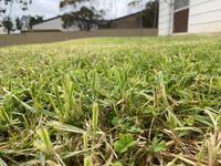 Book Karoonda Accommodation Vacations Port Augusta Accommodation Port Augusta Accommodation