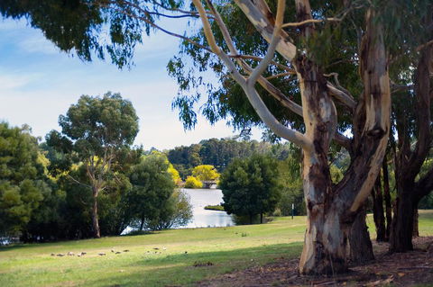 Lake Daylesford Lodge 4 - Port Augusta Accommodation 1
