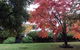 Lakeshore House, Daylesford - thumb 2
