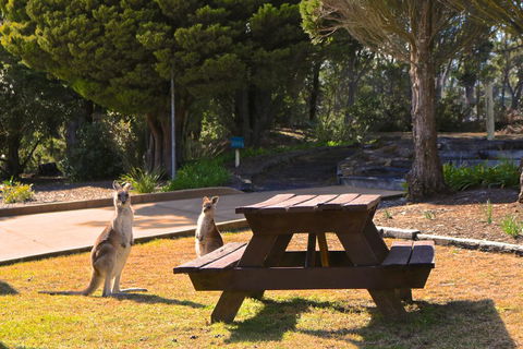 Leura Lodge At Mt Victoria - Port Augusta Accommodation 2
