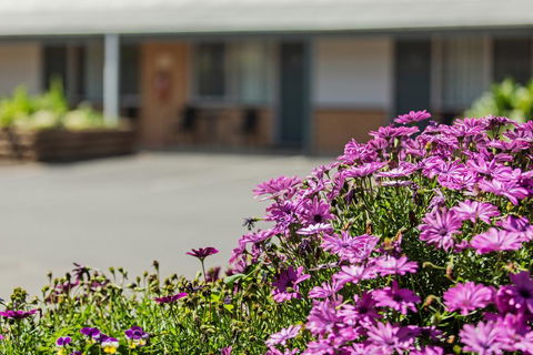 Maffra Motor Inn - Port Augusta Accommodation 2