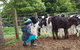 Manderley Park Farmstay B&B - thumb 0