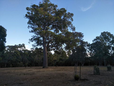 Margaret House - Port Augusta Accommodation 1