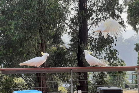 Merry Mary Casa - Port Augusta Accommodation 3