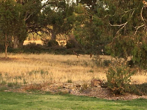 Murrord Wetlands - Port Augusta Accommodation 3