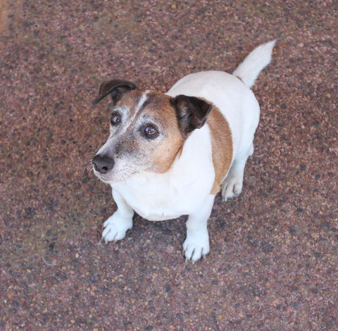 Jacaranda Hideaway Bed & Breakfast - Port Augusta Accommodation 13