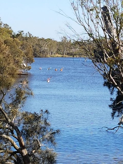 Jacaranda Hideaway Bed & Breakfast - Port Augusta Accommodation 19