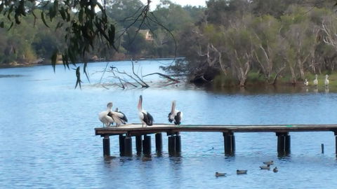 Jacaranda Hideaway Bed & Breakfast - Port Augusta Accommodation 18
