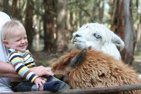 Margaret River Hideaway & Farmstay - Port Augusta Accommodation 21