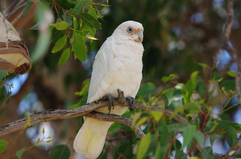 Margaret River Hideaway & Farmstay - Port Augusta Accommodation 26