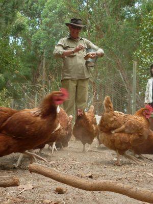 Margaret River Hideaway & Farmstay - Port Augusta Accommodation 28