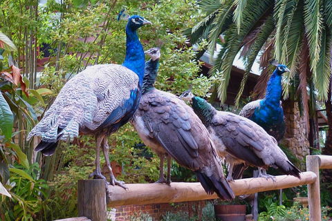 Margaret River Hideaway & Farmstay - Port Augusta Accommodation 19