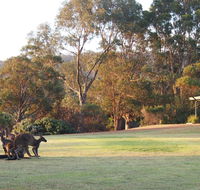 Riverside Retreat Chalets Walpole - Port Augusta Accommodation