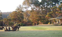 Book Walpole Accommodation Vacations Port Augusta Accommodation Port Augusta Accommodation