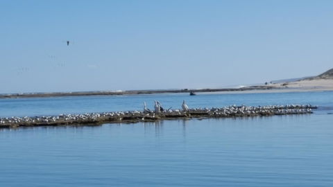 Kalbarri Seaview Villas - Port Augusta Accommodation 33