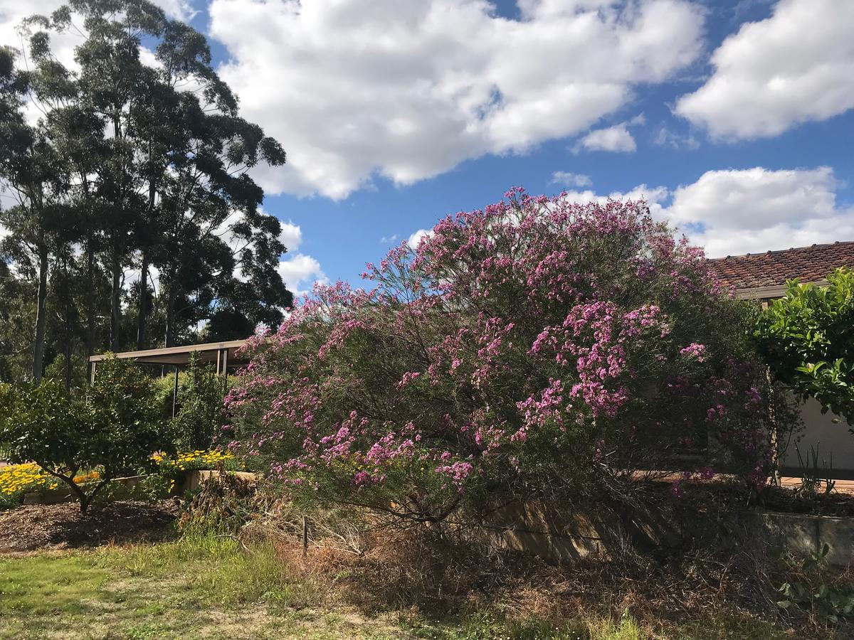 Cockburn Central WA Port Augusta Accommodation