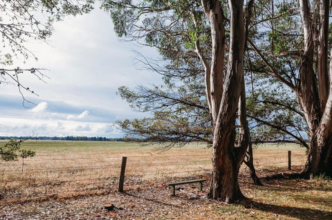 Margaret River Holiday Cottages - Port Augusta Accommodation 22