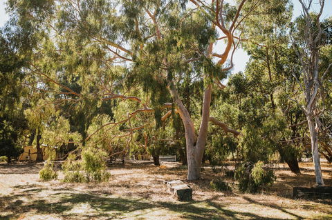 Margaret River Holiday Cottages - Port Augusta Accommodation 16